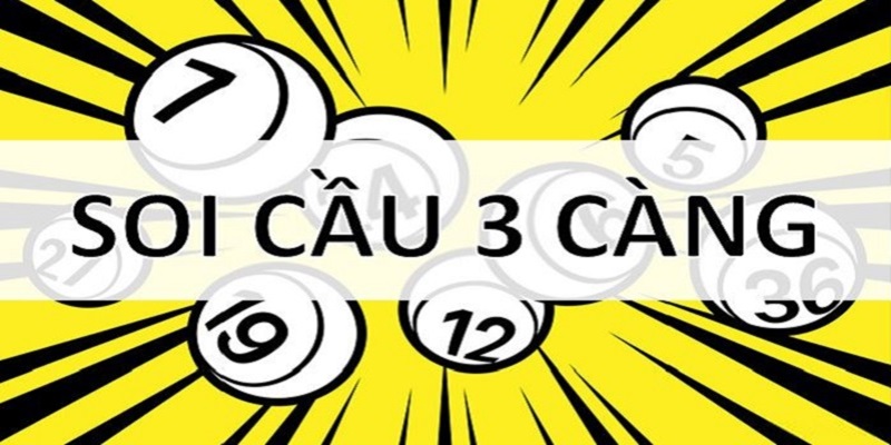 Đôi điều về 3 càng ăn bao nhiêu tại Bắc - Trung - Nam
